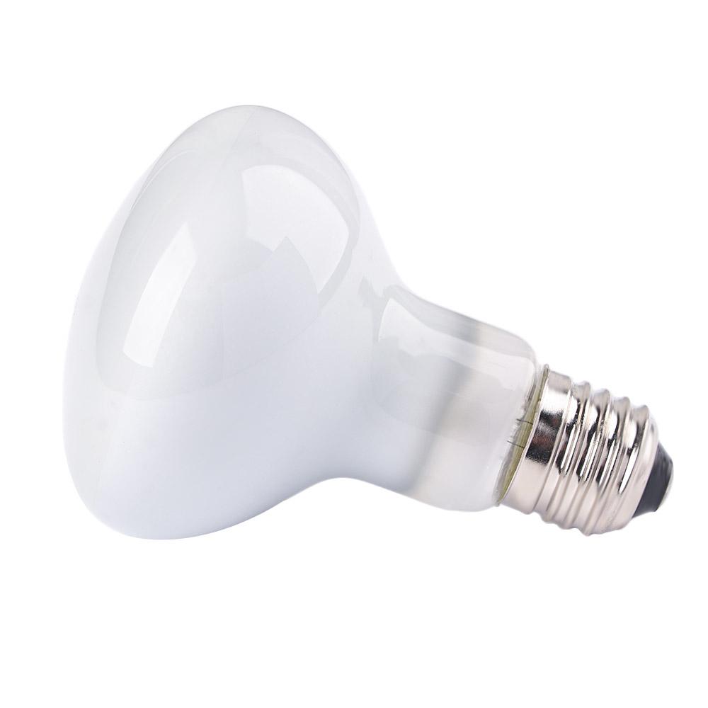 Лампа для обогрева рептилий: г – обзор и цена Basking Bulb Halogen