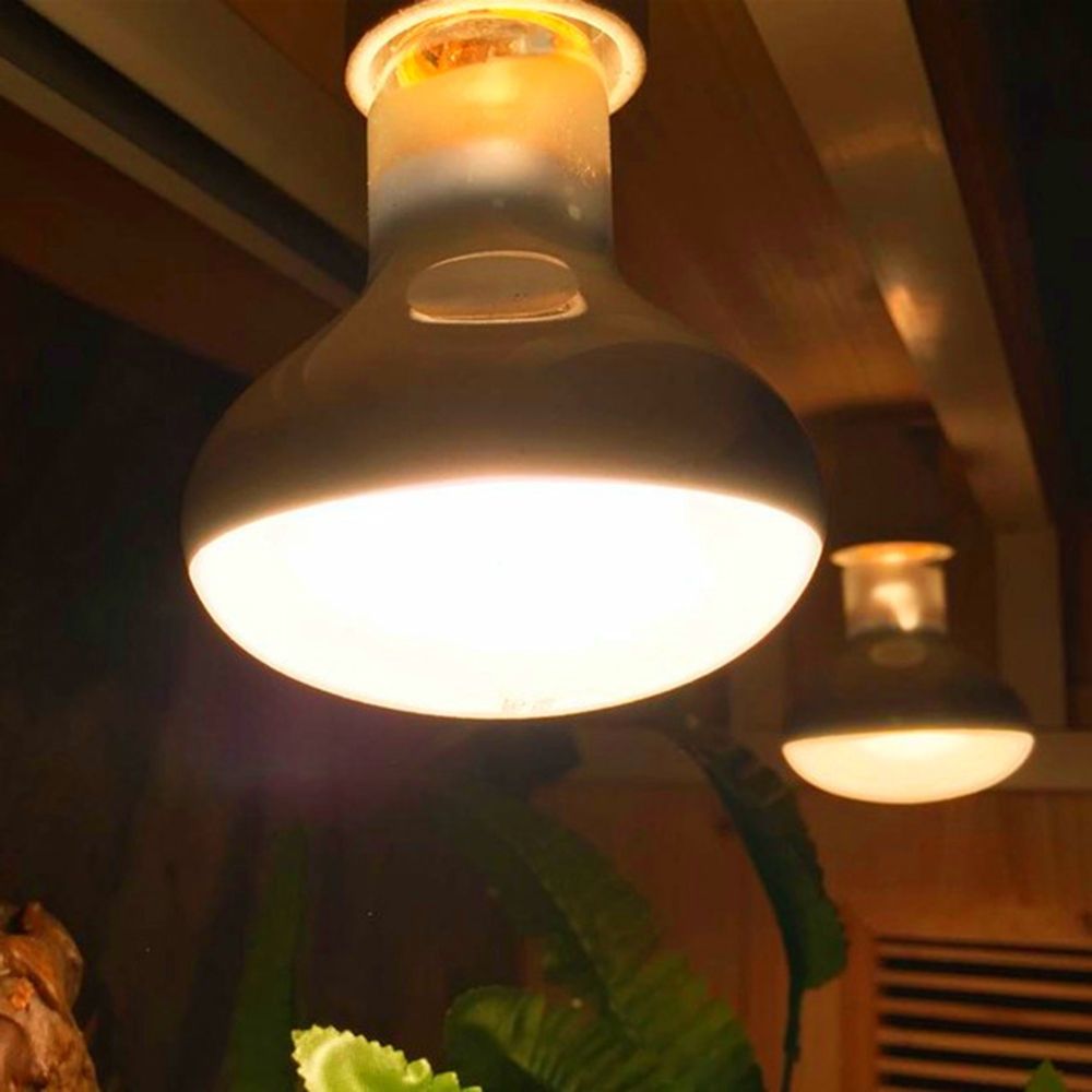 Регулятор температуры черепахи – обзор и цена Basking Bulb Halogen