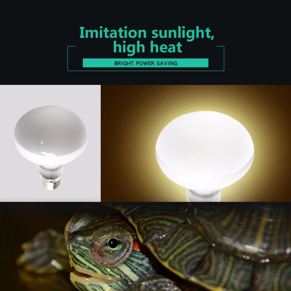 Контроллер температуры для тер – обзор и цена Basking Bulb Halogen
