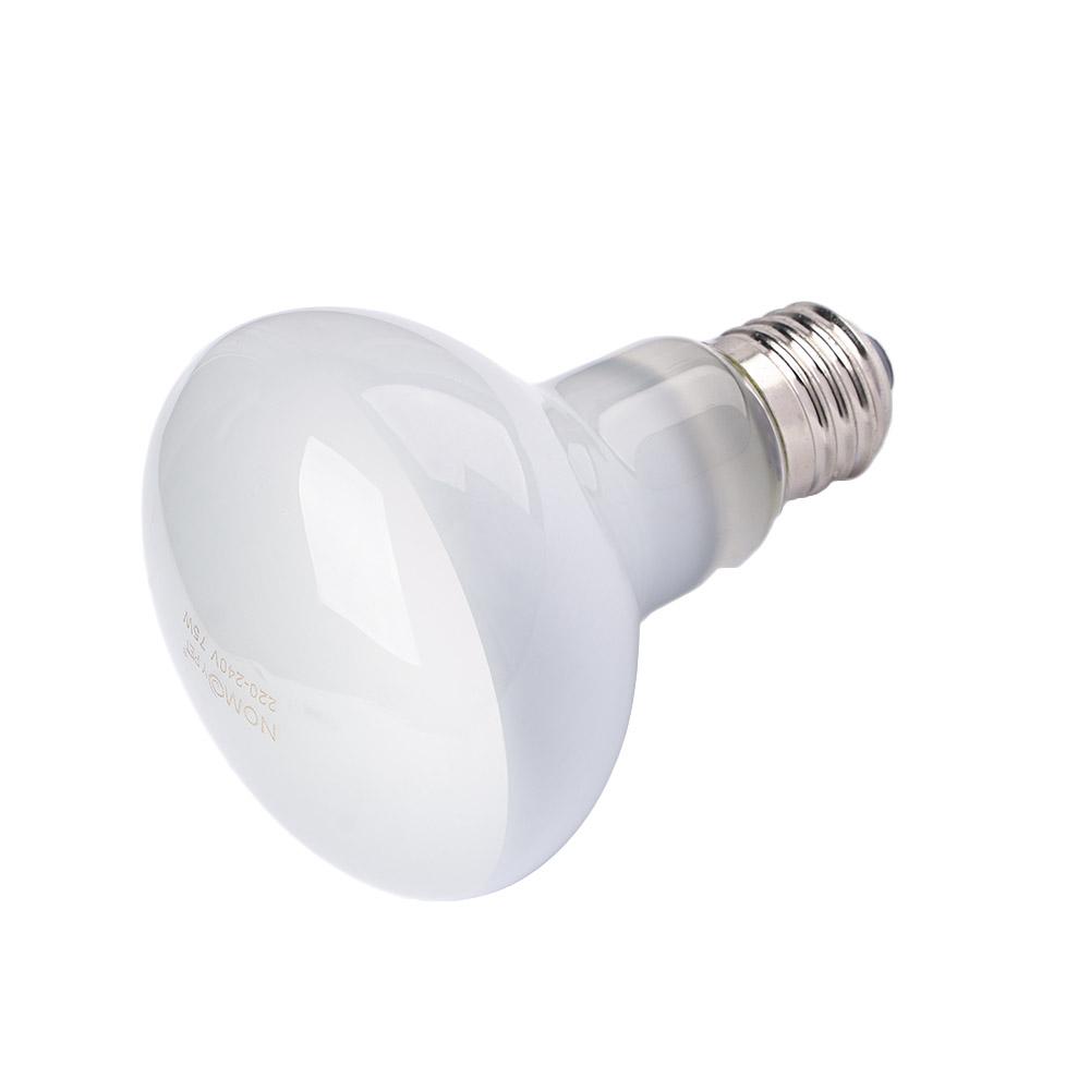 Контроллер температуры для тер – обзор и цена Basking Bulb Halogen